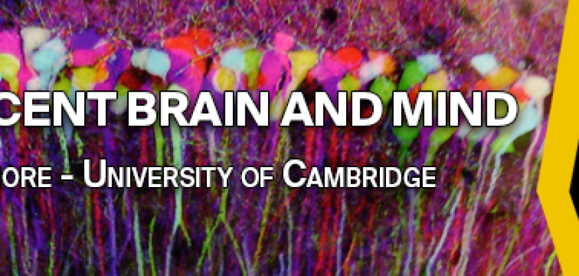 SISSA Colloquium — The adolescent brain and mind — Sarah-Jayne Blakemore